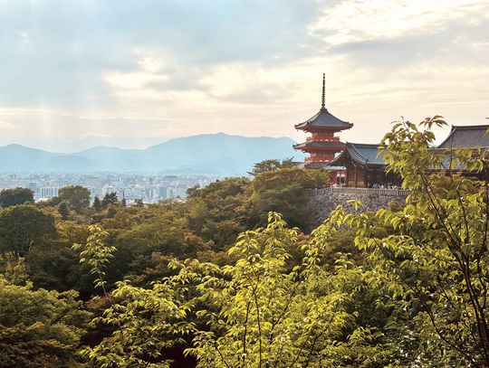 RCHS Students Enjoy Wide Range Of Experiences In Japan