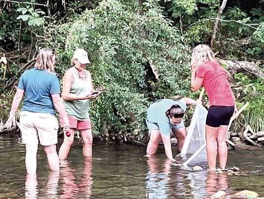 Re-Imagining Education