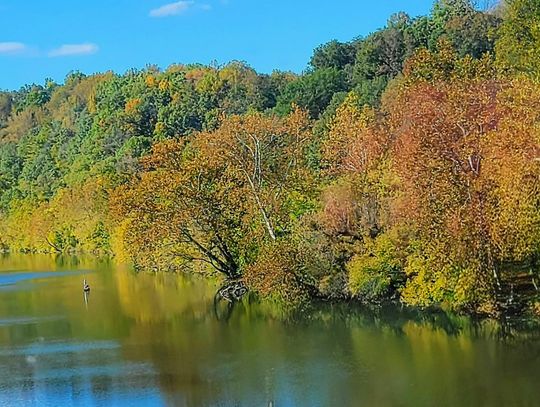 Riverfront Project Proposed In BV