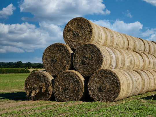 Rockbridge Farmers Sourcing Hay Out of State