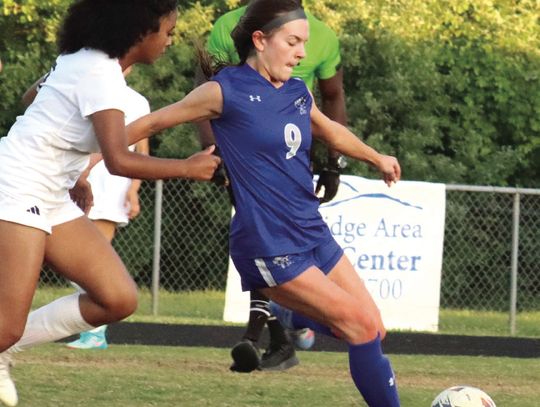 Rockbridge Girls Top Harrisonburg