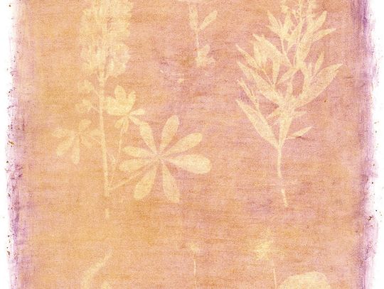 Science And Art Intersect In Staniar Gallery Exhibits