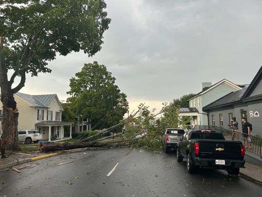 Severe storms down numerous trees, power lines in Lexington