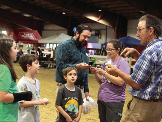 Sheep Sheering Demo