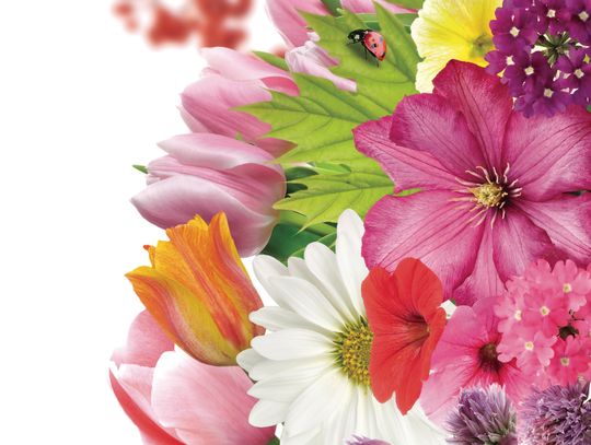 Short Walk, Plenty To See