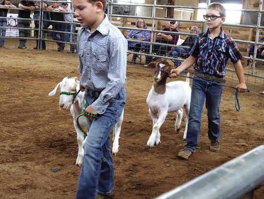 Show Time At The Fair