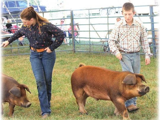 Showtime At The Fair