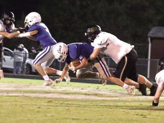 Single Wing Snares Wildcats