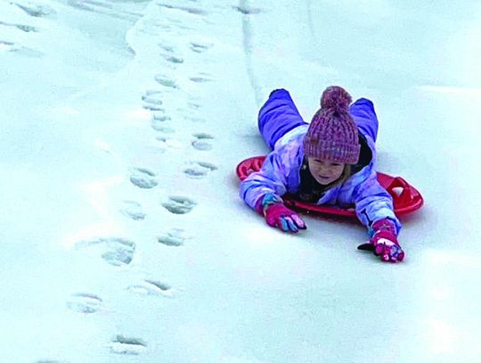 Sledding In Buena Vista