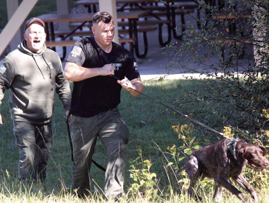 Sniffing Experts