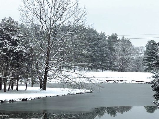 Snow Lovers