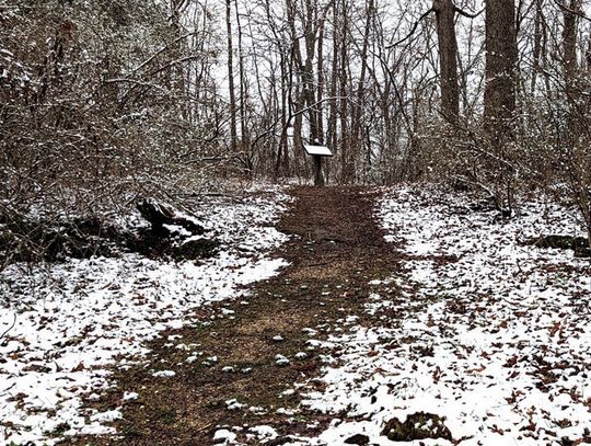 Snowy Trail