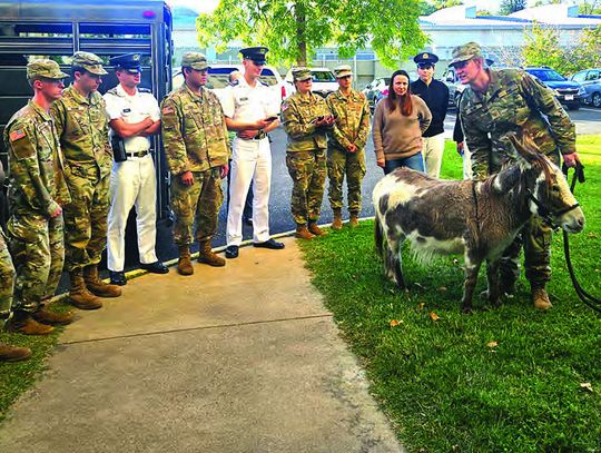 So There Was This Donkey At School …
