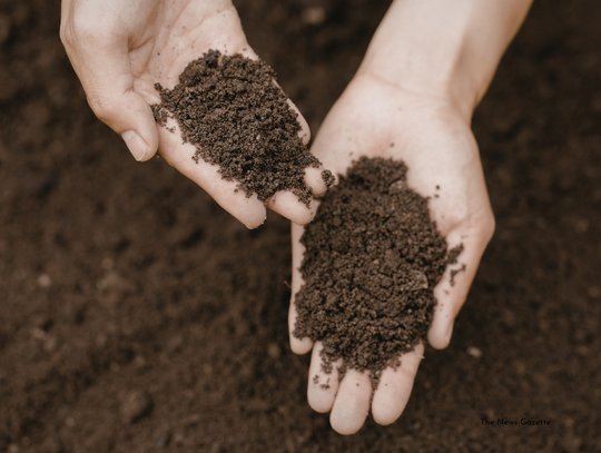 Soil Testing