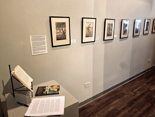 ‘Sounder’ Display At Alleghany Center