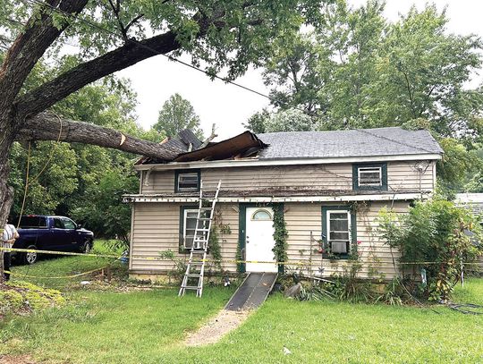 Storms Down Trees, Power Lines In Area