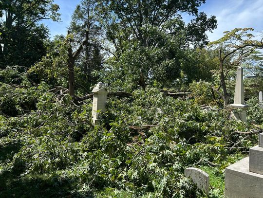 Storms leave behind damage, power outages in Lexington