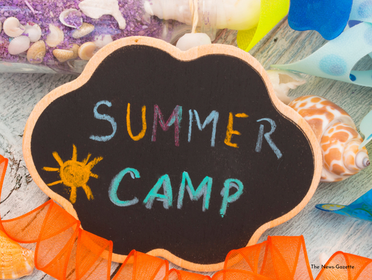 Summer Camp Information Sought Again