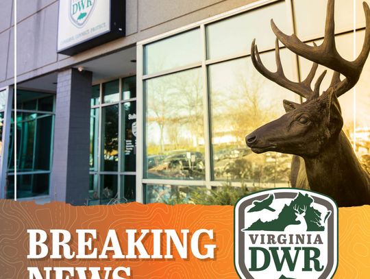 Suspected hemorrhagic disease in deer reported in VA