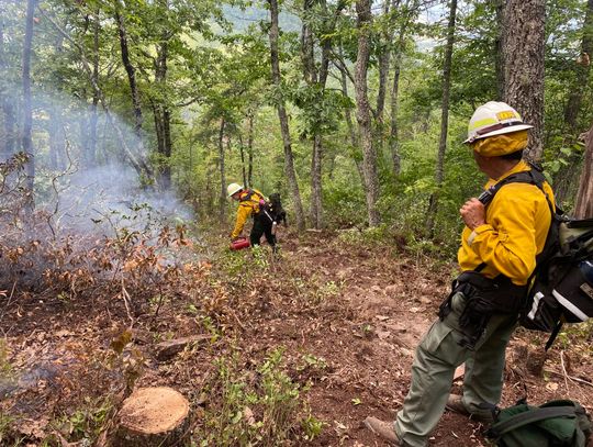 UPDATE: Taylor Hollow Fire now fully contained
