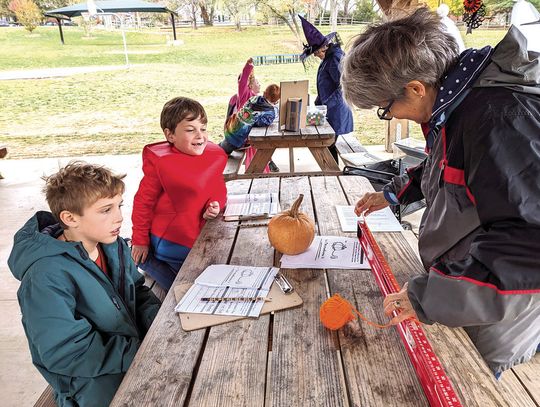 The Great Pumpkin Patch Investigation