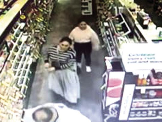 Theft Suspects Sought