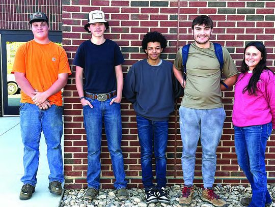 They Know Their Trees