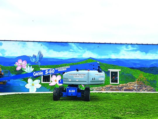 Town Square Now ‘Magnolia Square’