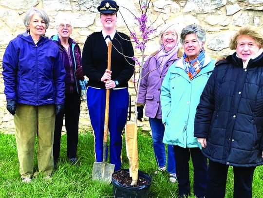 Tree Dedicated To Museum Volunteer