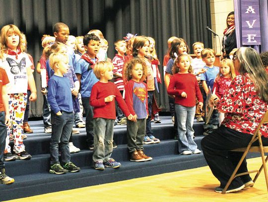 Veterans Day Event At Mountain View