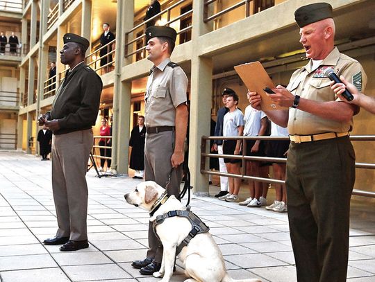 VMI Canine Appointed Brigadier General