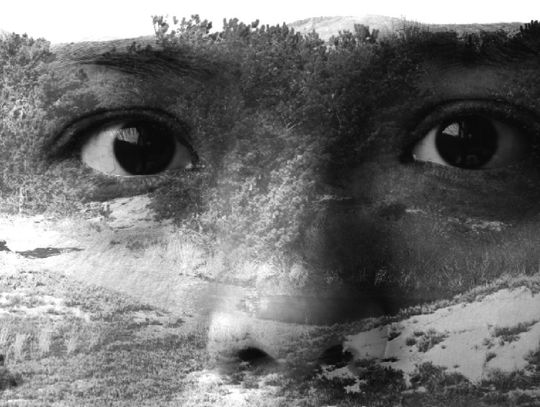 W&L Seniors Display Works