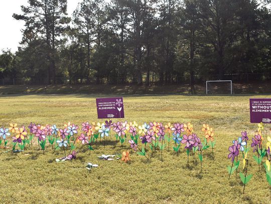 Walking To End Alzheimer’s