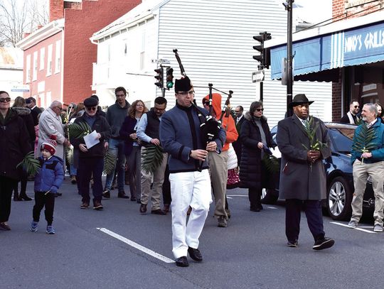 Waving Palms In Lexington