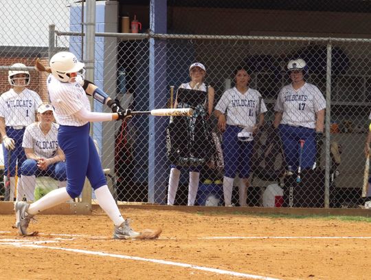 Wildcats ‘Come Out Swinging’