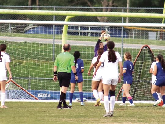 Wildcats Lose ‘Long, Hard Fight’