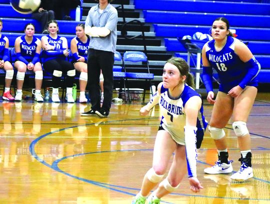 Wildcats Split District Matches, Fall To TA