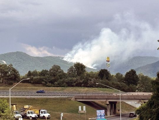 Wildfire Starts In National Forest