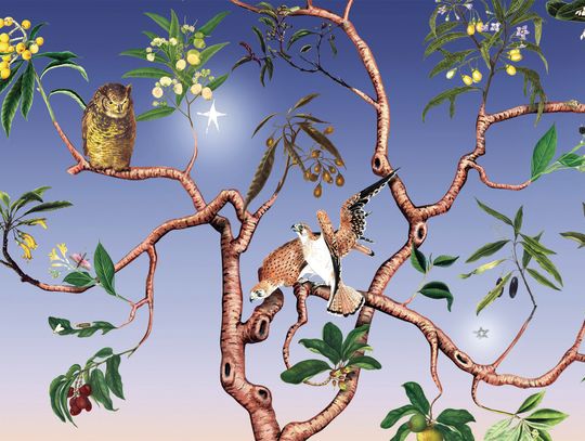 Winter At W&L Museums