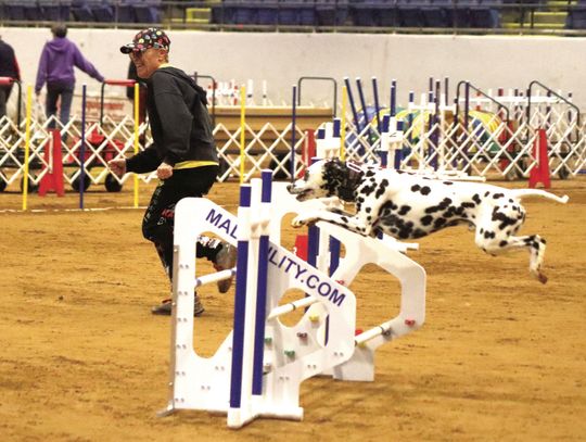 Winter Fun At The VHC