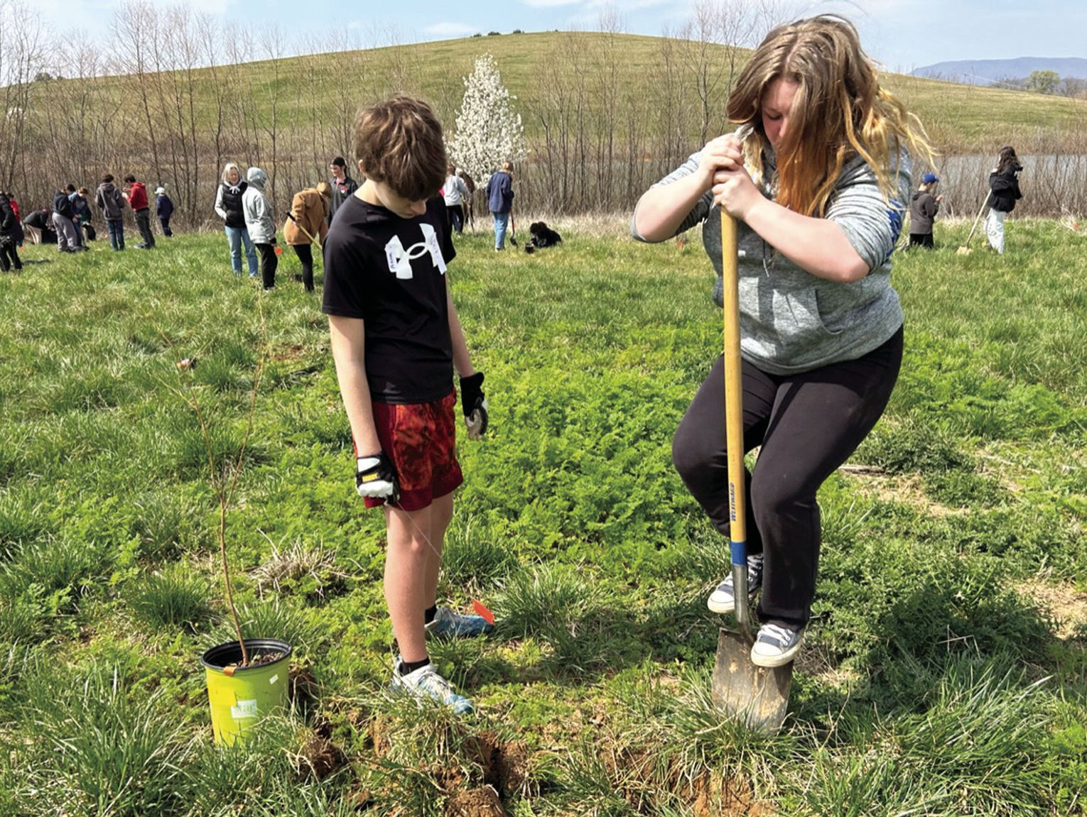 A ‘green’ March Madness