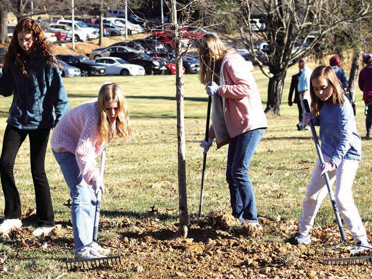 New Trees For The Hospital