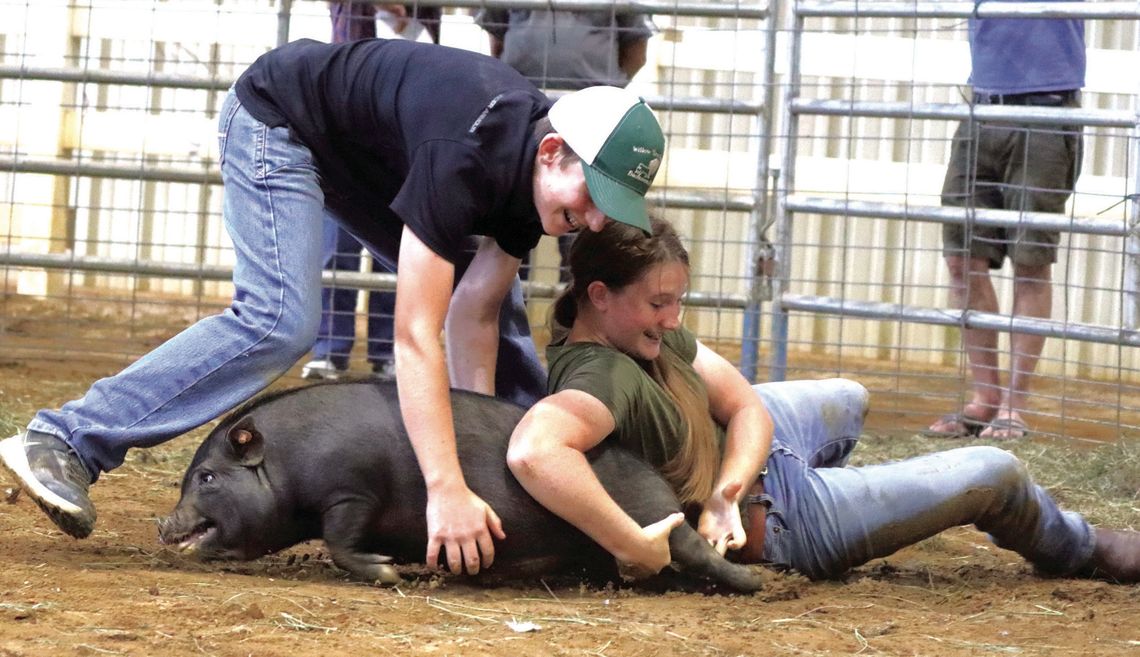 2024 Rockbridge Regional Fair