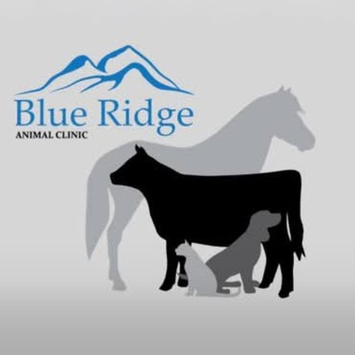 Animal Services: An Interview at the Blue Ridge Animal Clinic Animal Services: An Interview at the Blue Ridge Animal Clinic