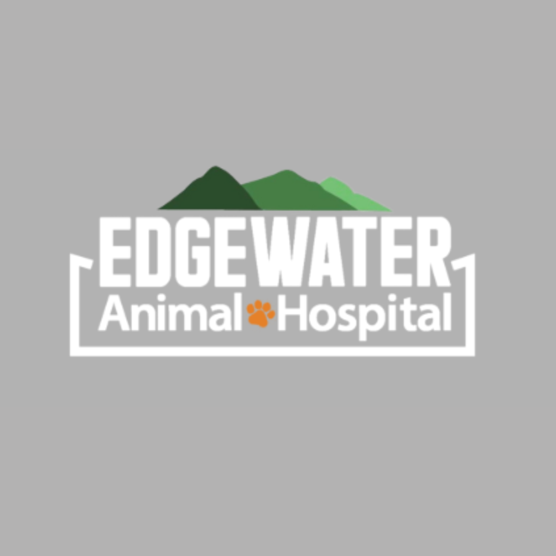 Animal Services: An Interview at Edgewater Animal Hospital Animal Services: An Interview at Edgewater Animal Hospital