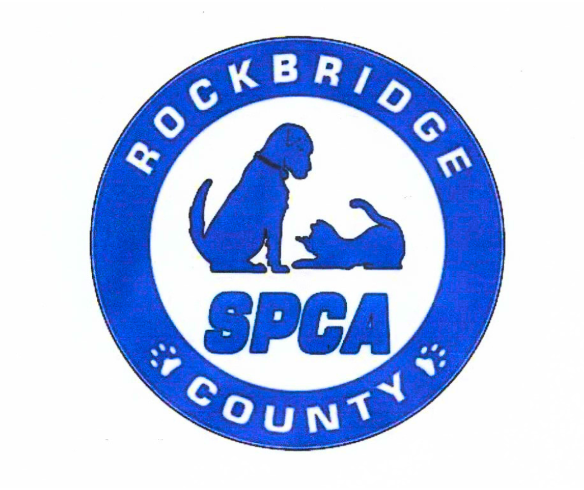 Animal Services: An Interview at the Rockridge SPCA