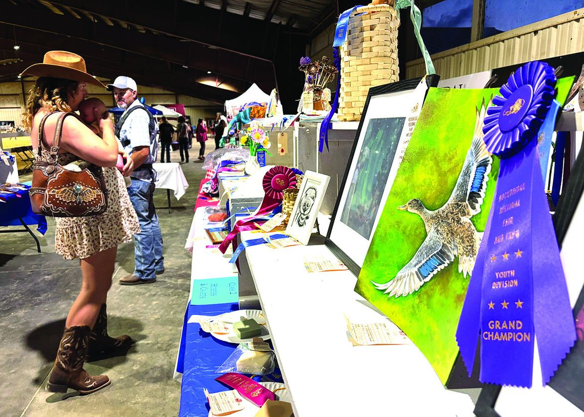 Artistic, Tasty Entries Win At Fair Expo Artistic, Tasty Entries Win At Fair Expo