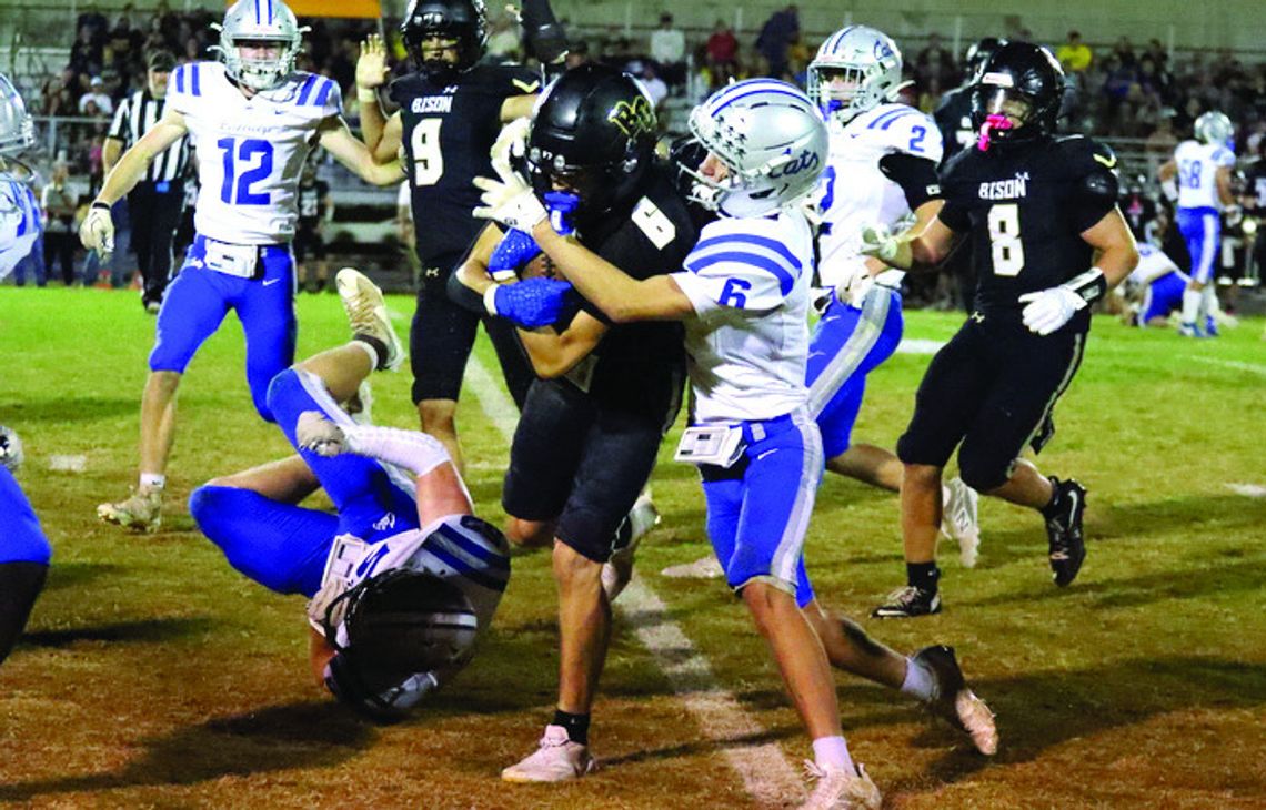 Bison Run Past ‘Cats, 59-14 Bison Run Past ‘Cats, 59-14
