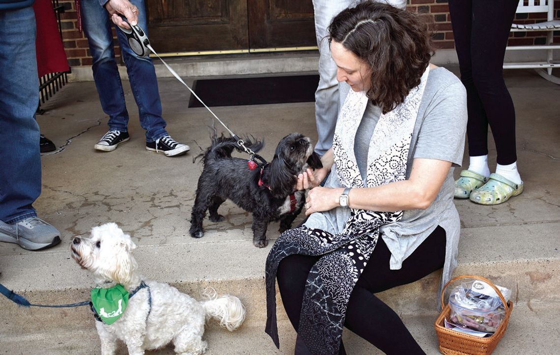 Bless The Beasts And Children