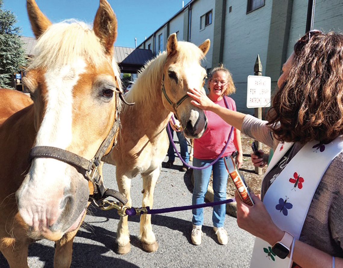 Blessing Of The Animals